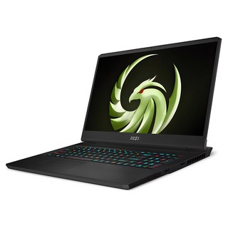 MSI 2023 Alpha17 라이젠9 7945HX 지포스 RTX 4070, 블랙, 1TB, 16GB, Free DOS, MS-17K