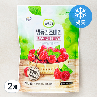 성주 당도선별 미니참외, 1.5kg(6입~9입), 1봉 과일 16 뉴뜨레 냉동라즈베리 (냉동), 500g, 2개