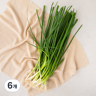 국내산 실파, 200g, 6개
