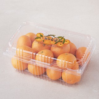 탐라황감 당도선별 10brix 감귤, 1.5kg(로열과), 1박스