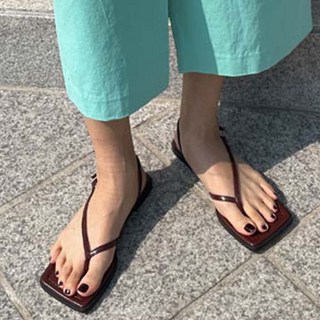 데이 뮬 쪼리 C1291_7137