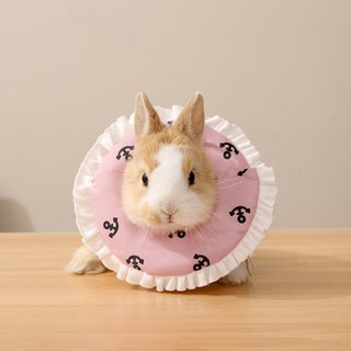 랜보어 소동물 마린 프릴 넥카라, 핑크, 1개