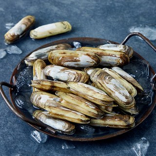 어부심 국내산 맛조개 (냉장), 1개, 500g