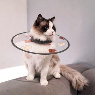 파스텔펫 반려동물 애니멀 패턴 방수넥카라, 타입B, 1개