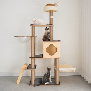 레토 고양이 프리미엄 4단 프라이빗 타워