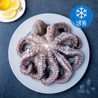 비비수산 깨끗하게 손질한 문어 한마리 (냉동), 1개, 900g