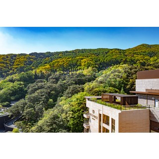 제천 리솜 포레스트&레스트리