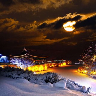 [경북] 경주 핫플! 역사유적지구+천년숲정원+바다소리길+동궁과 월지+월정교 역무박여행 / 서울경기出