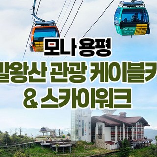 [평창] 모나용평 발왕산 관광 케이블카&氣스카이워크(3/3~7/11)