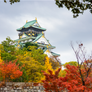 [오사카] #모두투어 [즉시할인][최저가도전]오사카/고베 3일 (교토관광VS유니버셜스튜디오) #티웨이 항공 #TJP301TWAH 상품 이미지