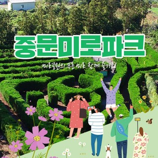 3. [제주] 중문미..