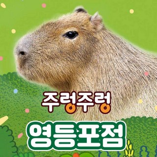 2. [서울] 주렁주..