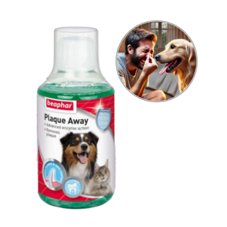 무지조타 냄새쓱싹 강아지 고양이 뿌리는 스프레이, 구강/치석관리, 100ml, 2개 강아지구취제거제 11 강아지 입냄새 스프레이 비아파 구취제거제, 1개
