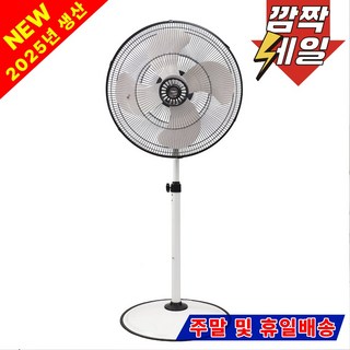 신일 76cm(30인치) 공업용 업소용 대형 선풍기 SIF-K3000, 델루체 DWIF-D24W(24인치)