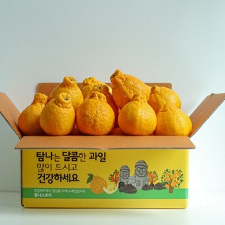 제주농원 14Brix 당도선별 한라봉