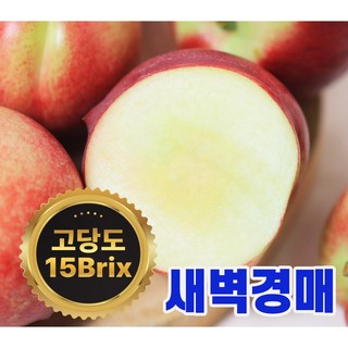 새벽경매 당일발송 25년 첫수확 고당도 제철 신비복숭아 대극천 복숭아, 1박스, 2kg(로얄과)