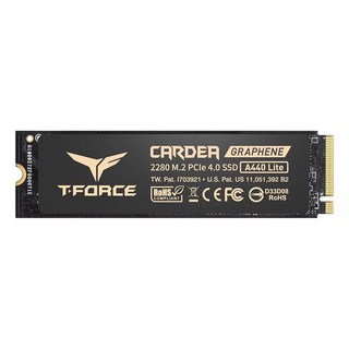 TEAMGROUP 업 T-Force CARDEA A440 그래핀 알루미늄 히트싱크 1TB DRAM SLC 캐시 3D NAND & TLC NVMe PCIe Gen4 x4 M.2, A440 LITE