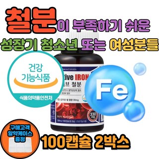 헴철 햄철 비헴철 어린이 키즈 청소년 철분제, 2박스, 100정