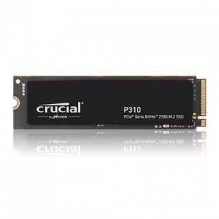 마이크론 Crucial P310 M.2 NVMe 아스크텍 1TB SSD