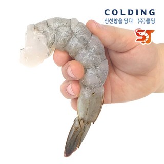 콜딩 생 칵테일새우 16/20 900g (왕특대) 깐새우 감바스용, 1개