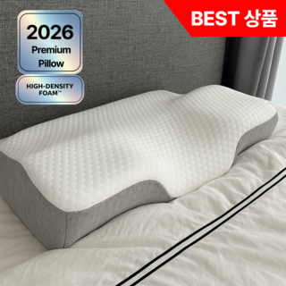 담은일상 프리미엄 C커브 메모리폼 베개 +커버, 1개, 화이트