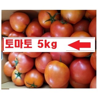 토마토/ (크기혼합 주스용)국내산, 1개, 5kg