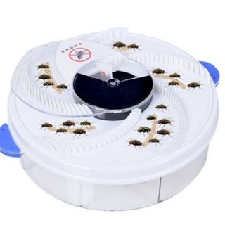 파리지옥 파리 모기 해충 퇴치기