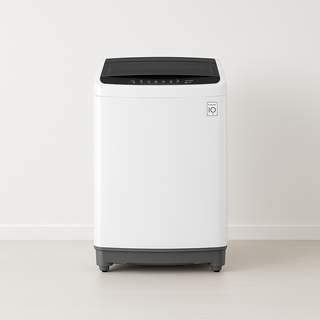 LG 통돌이 10키로 TR10WL