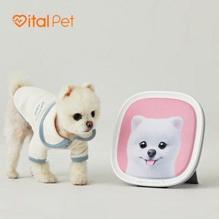 엠씨스퀘어 바이탈 펫 강아지 고양이 정서안정 분리불안 케어 솔루션 1개 화이트