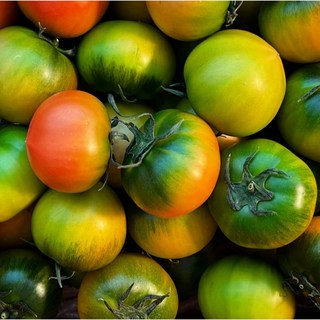 에낙 멀티박스 24EA