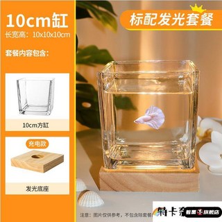 가정용 수조 마리모 LED 조경 이미지