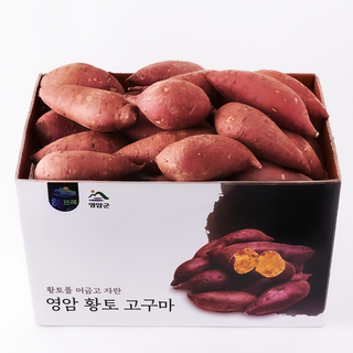 해뜨레 영암 호박고구마, 1박스, 5kg 중