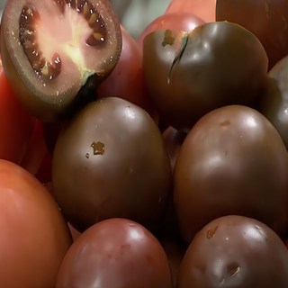 농가 직송 100% 국내산 초고당도 흑토마토, 1박스, 혼합과 고당도 2kg