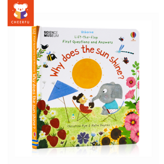 Usborne Lift The Flap Do Tigers Have Stripes/ Why Does The Sun Shine 3D 그림 보드 북