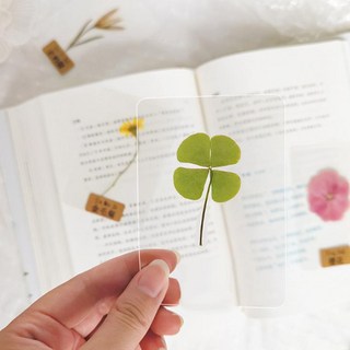 FANSDA 20매입 네잎클로버 코팅카드 투명 20매 네잎클로버카드 상품 이미지