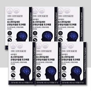 (6개) 내추럴잇 포스파티딜세린 은행잎추출물 토코페롤 450mg x 60캡슐 6개월분 뇌영양제 쇼핑백 증정, 6개, 60정