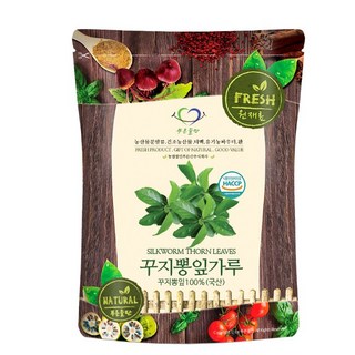 푸른들판 국내산 꾸지뽕 잎 분말 가루 100% HACCP 인증 국산 꾸찌뽕 꾸찌뽕 구찌뽕 나무 잎 차, 100g, 1개