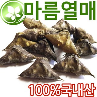 국산 마름열매