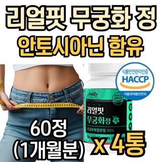 식약청인증 무궁화 핏 타블렛 무궁 화추출물 안토시아닌 히비스커스 모로실 복합물 정, 4개, 60정