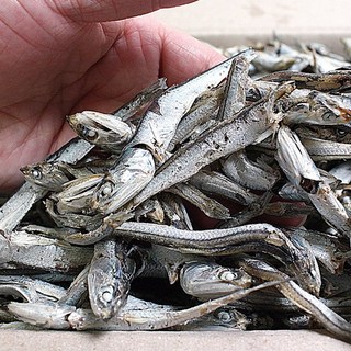 육수용 햇 다시멸치(상급) / 대멸치 국물멸치 1kg, 1개