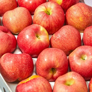 경북 빨간사과 홍로 알뜰 햇 사과 2kg x1박스, 1개