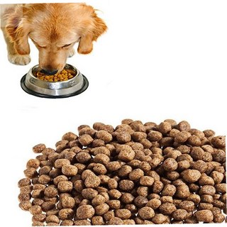 진정3호 애견 도비 프로페셔널 소화잘되는사료