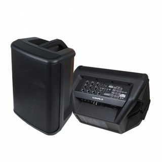 카날스 BSK-300 충전식 버스킹 앰프 250W 이동식앰프 가방포함