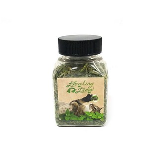 힐링타임 띵가띵가 드라이캣닢(소) NH-108, 선택:단일상품, 7g, 1개