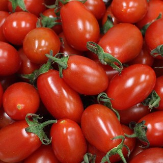 대추 방울 토마토 5kg내외(4번과), 1개, 5kg