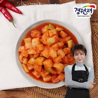 경원재 진미령의 깍두기 5kg