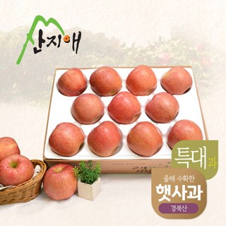[산지애] [햇사과] 알뜰 못난이사과(특대과) 4kg 1box, 상세 설명 참조