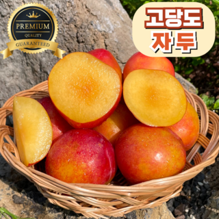 프리미엄 고당도 제철 자두 산지직송, 1개, 대과 1kg
