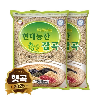 현대농산 국산 할맥 1kg, 2개