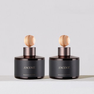 1+1 에이센트 네이처 차량용 디퓨저 방향제 120ml, 01 딥체리, 2개